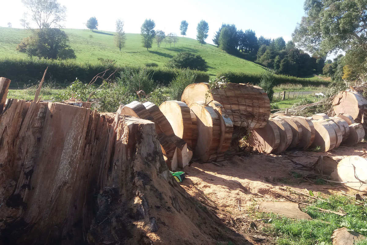 Fire Wood Preparation