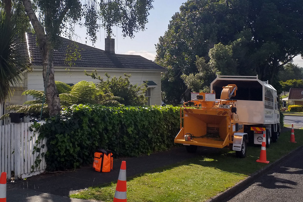 Residential Tree Removal