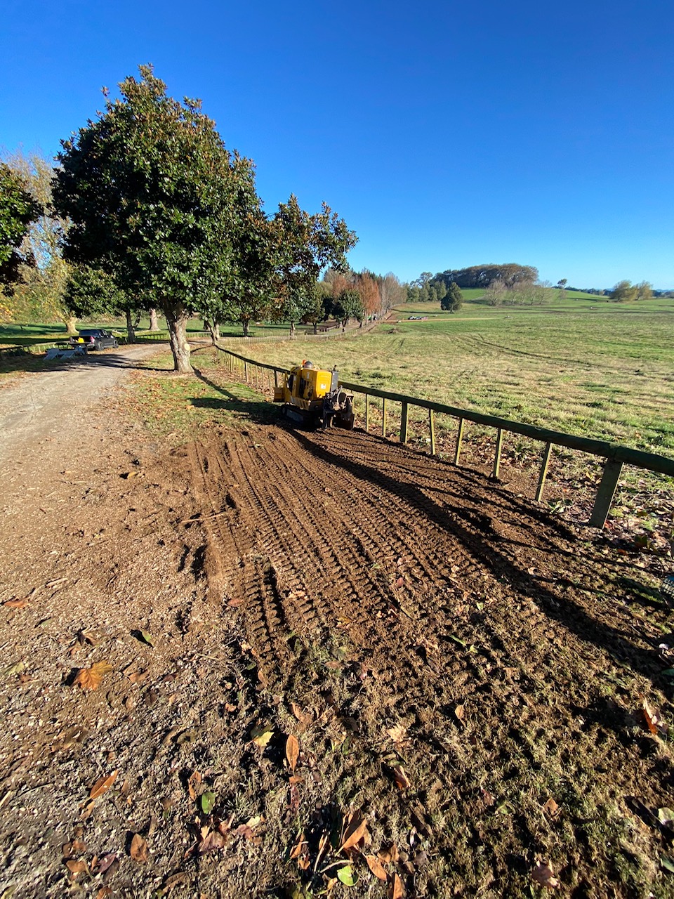 All leveled after stump was ground, ready for grass seed.