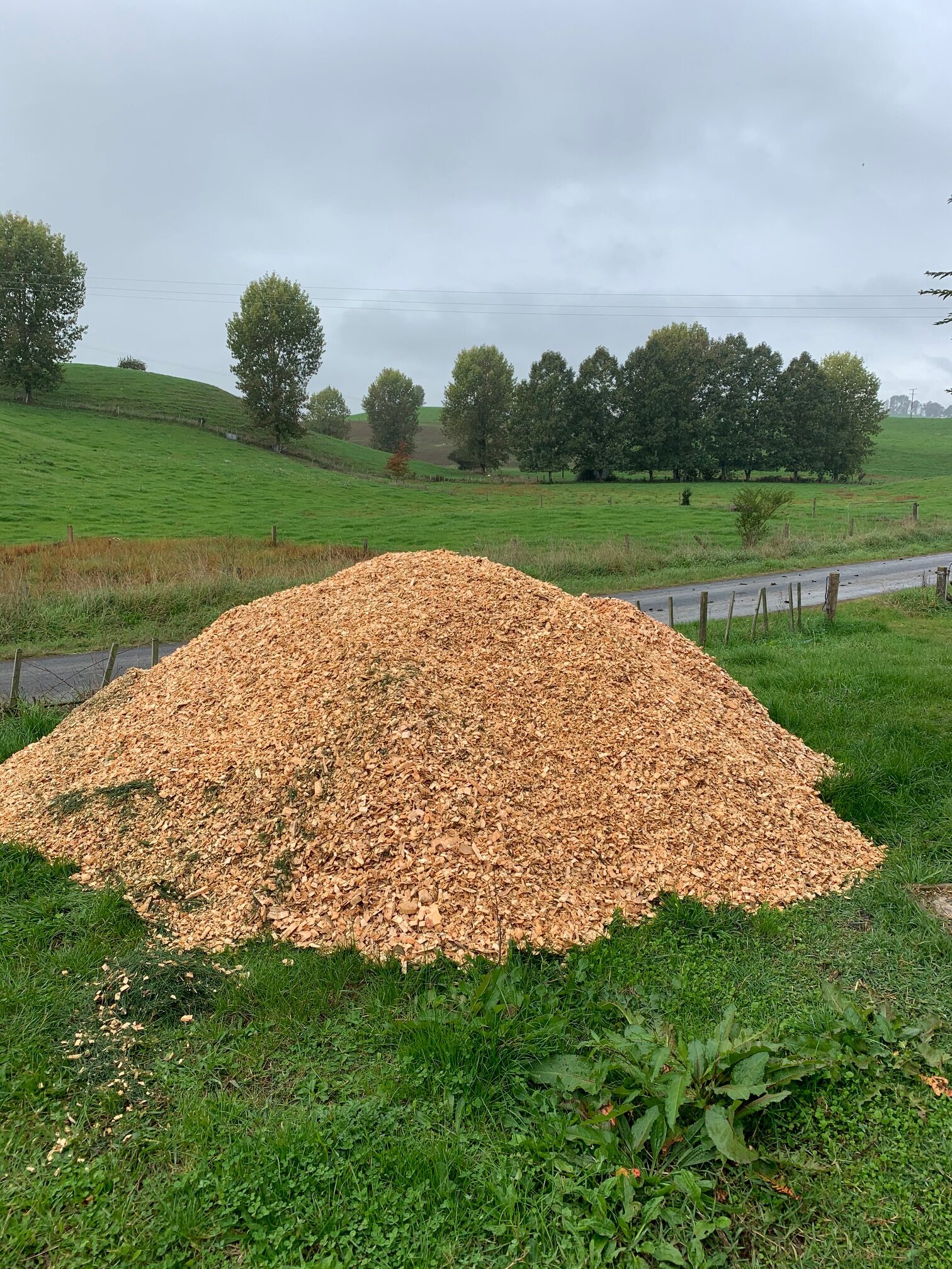 Mulch for a farmers calf shed.