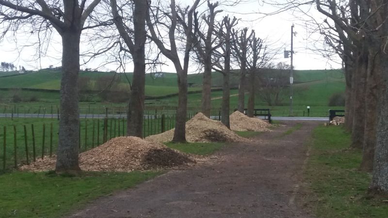 Wood Chipping & Mulching Services